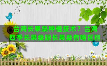 台湾长果桑种植技术？台湾四季长果桑跟长果桑有啥区别